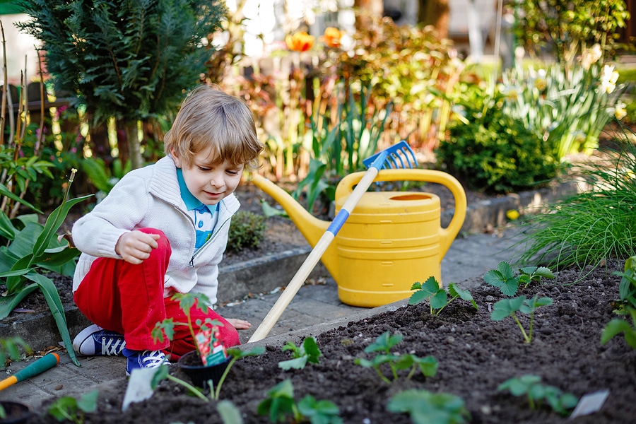 5 Spring Activities for Children and Adults Living With Disabilities